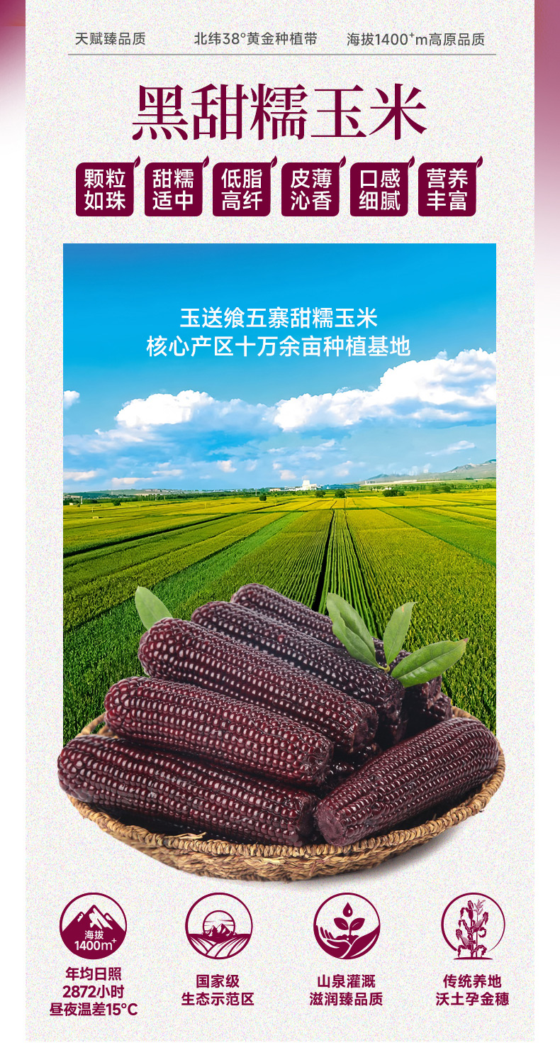 黑糯玉米_02.jpg