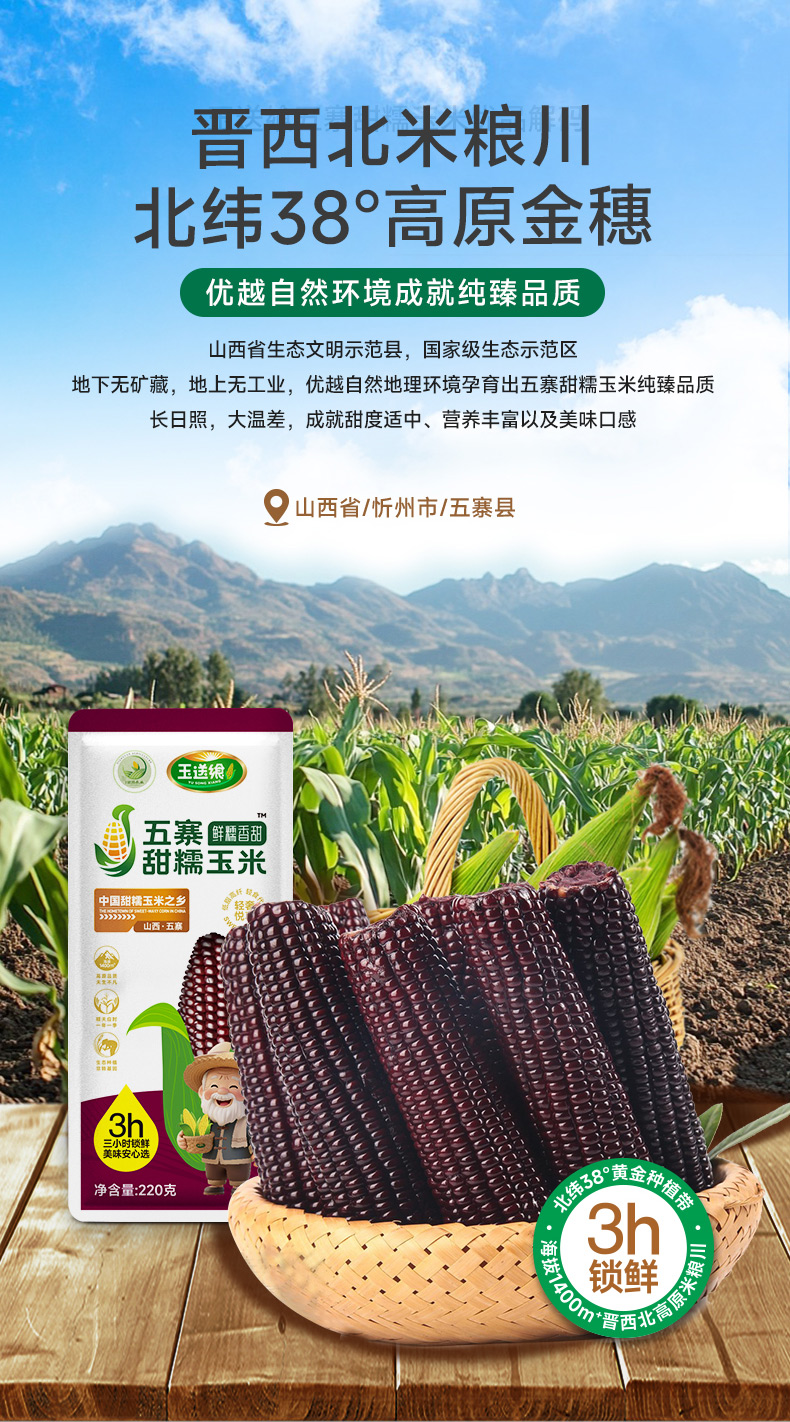 黑糯玉米_04.jpg