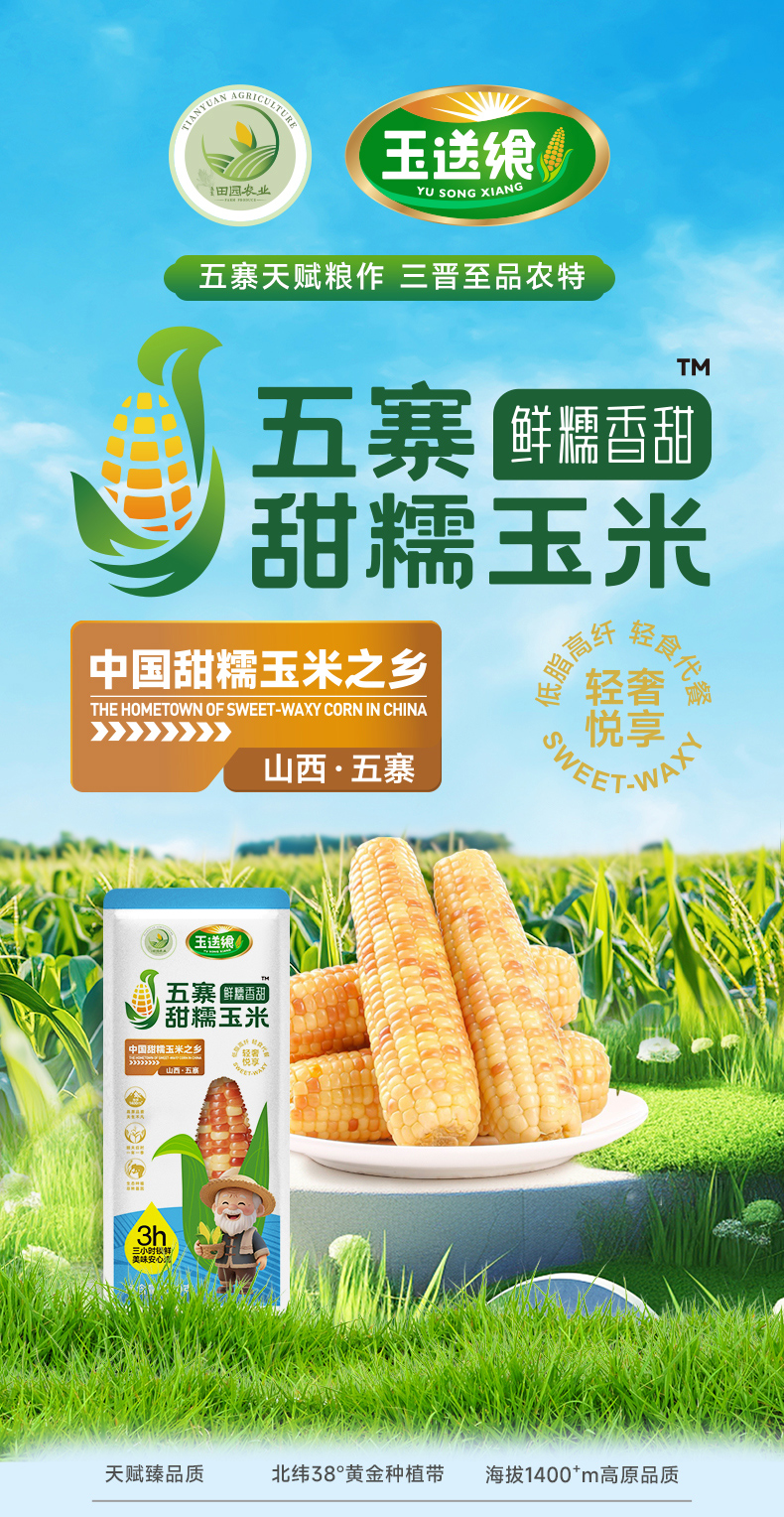 花糯玉米_01.jpg