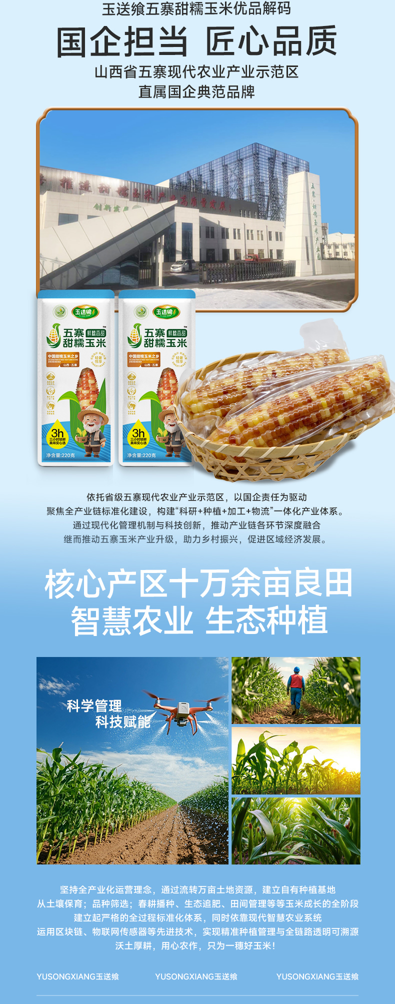 花糯玉米_05.jpg