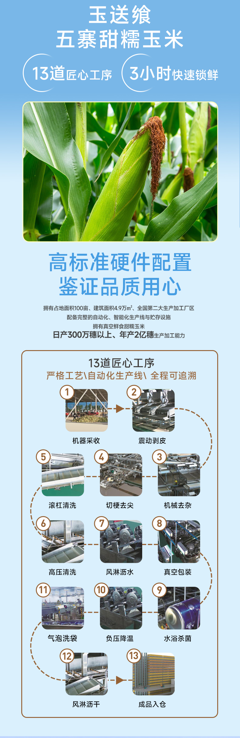 花糯玉米_06.jpg