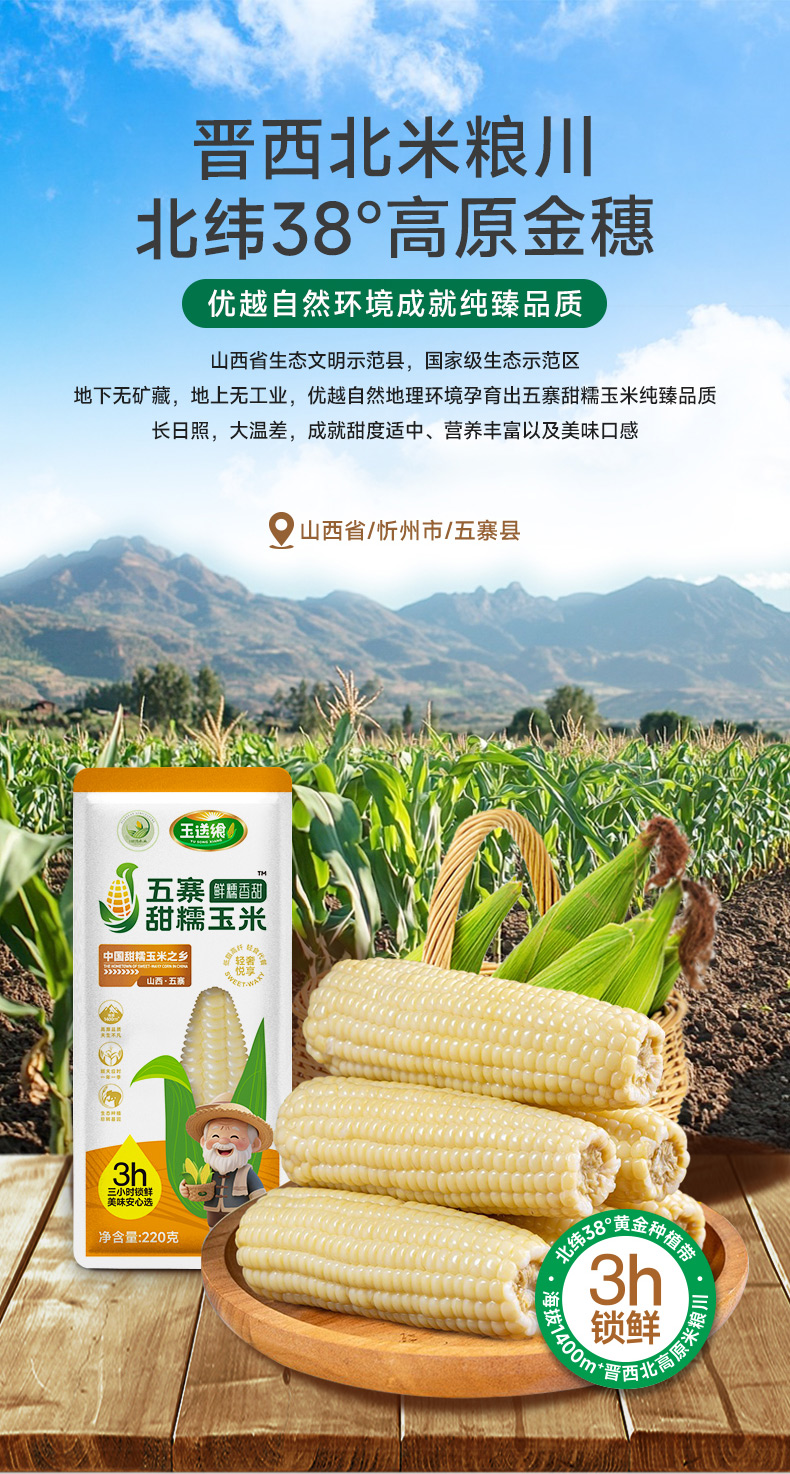 白糯玉米_04.jpg
