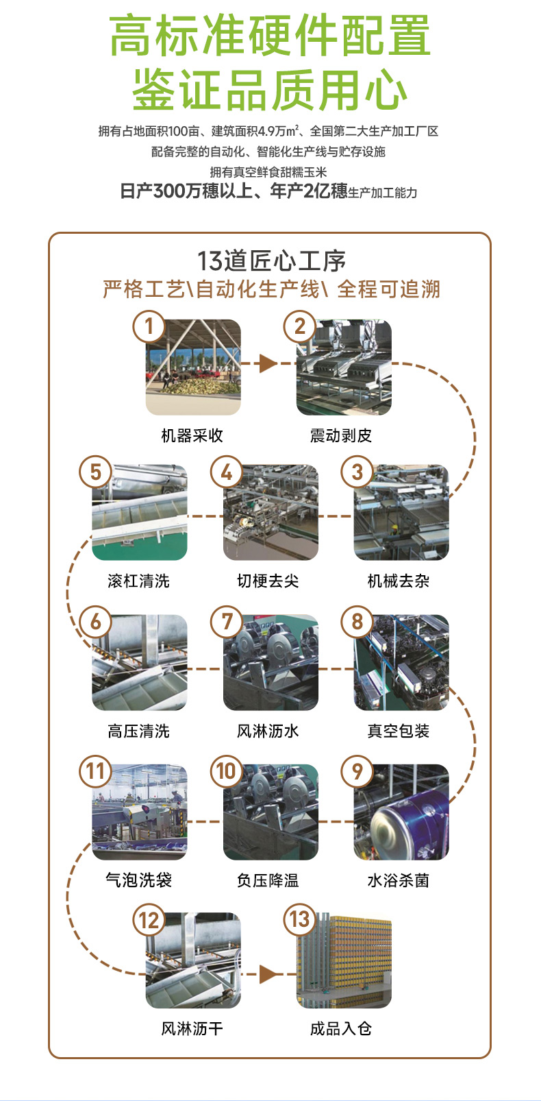 白糯玉米_07.jpg