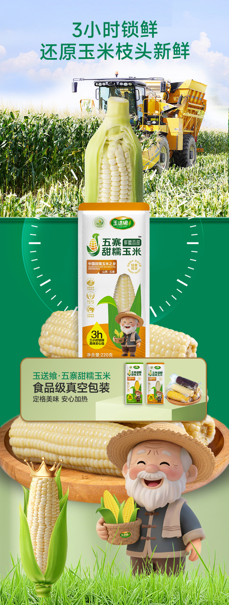 白糯玉米_08.jpg