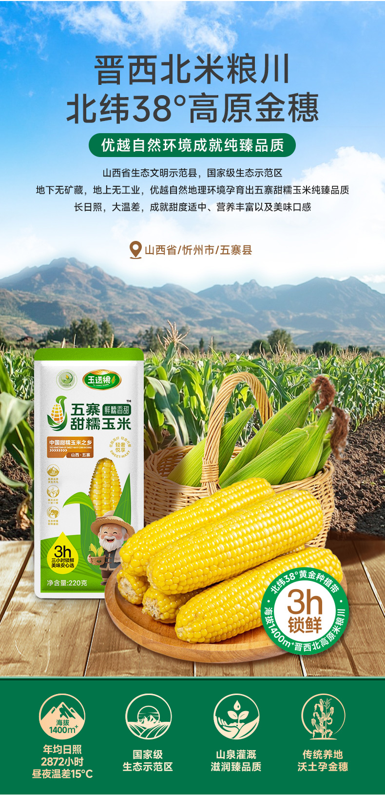 黄糯玉米_04.jpg