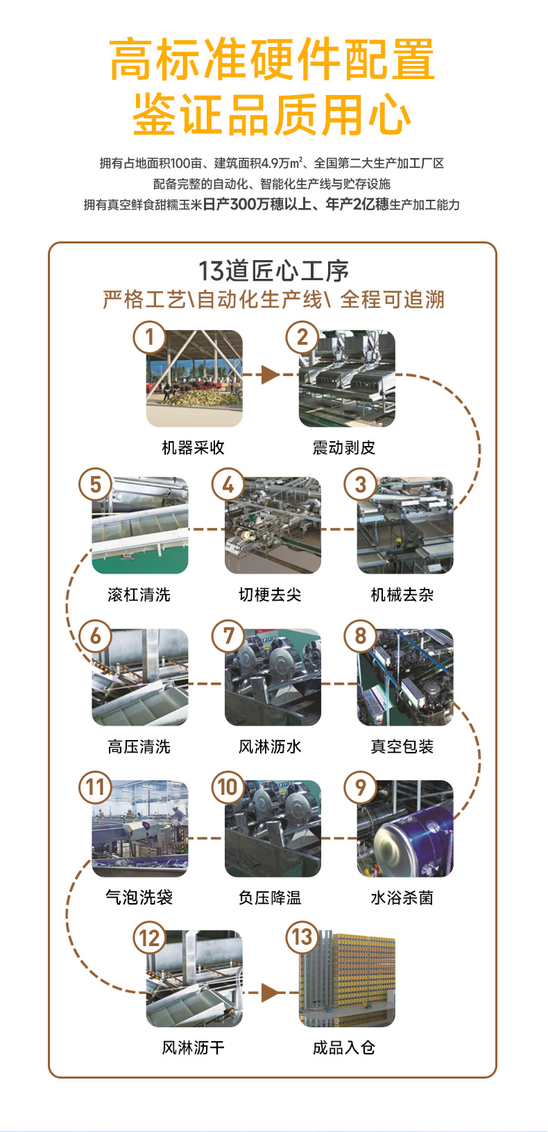 黄糯玉米_07.jpg